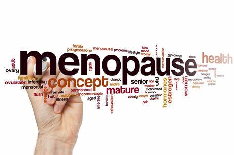 Hot Flash Chronicles: A Candid Look at the Menopause Experience